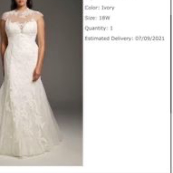 Wedding Dress - Picture 5 of 6